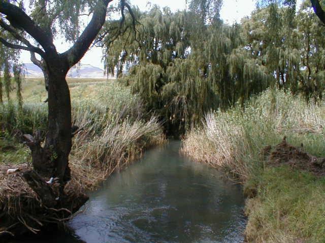 Royal Coachman Βίλα Clarens Εξωτερικό φωτογραφία