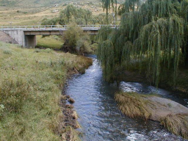 Royal Coachman Βίλα Clarens Εξωτερικό φωτογραφία